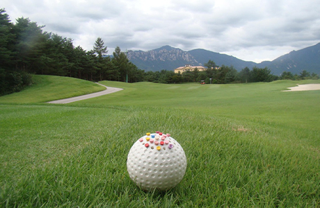 플라자CC 설악 (강원 속초시)